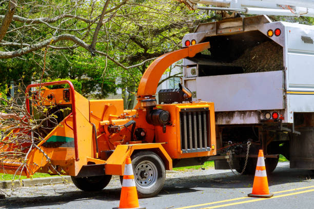 Garrett, WA Tree Service Company